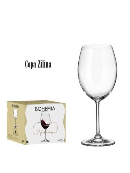 Copa Zilina