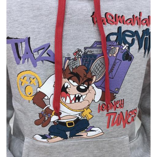 Sudadera Taz [1]