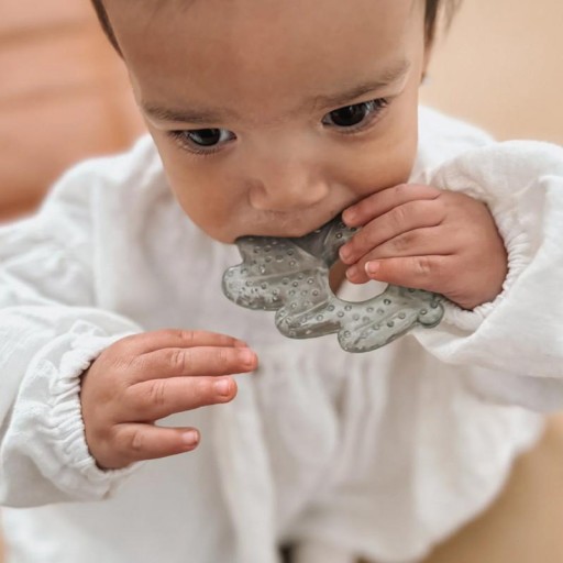 2 Mordedores Refrigerante Noüka Nature Flight - Noüka [2]