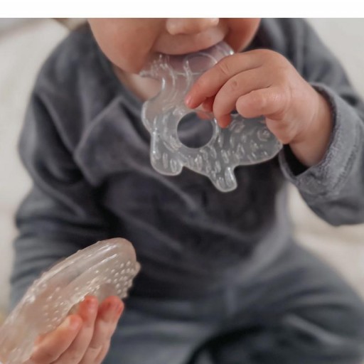 2 Mordedores Refrigerante Noüka Nature Earth - Noüka [5]