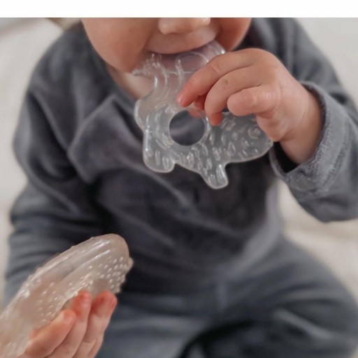 2 Mordedores Refrigerante Noüka Nature Flight - Noüka [1]