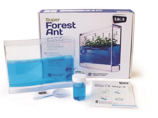 Ecosistema de hormigas y plantas - Antiuarium [2]