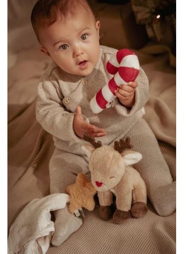 Caja Regalo de Navidad Little Dutch – Recién Nacido con Reno [5]