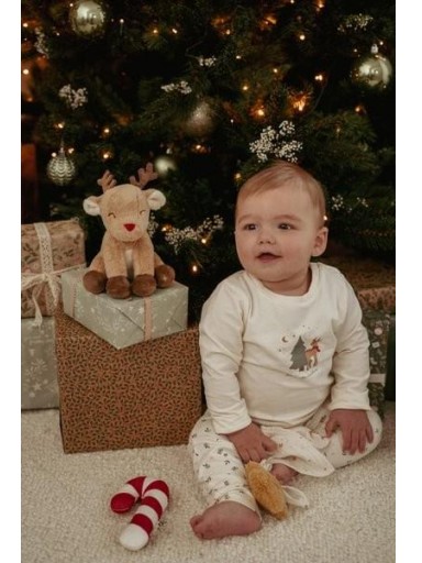 Caja Regalo de Navidad Little Dutch – Recién Nacido con Reno [3]