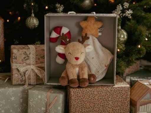 Caja Regalo de Navidad Little Dutch – Recién Nacido con Reno [2]