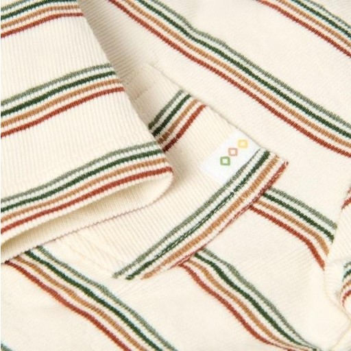 Camiseta Manga Larga de Rayas Safari - Little Dutch [3]
