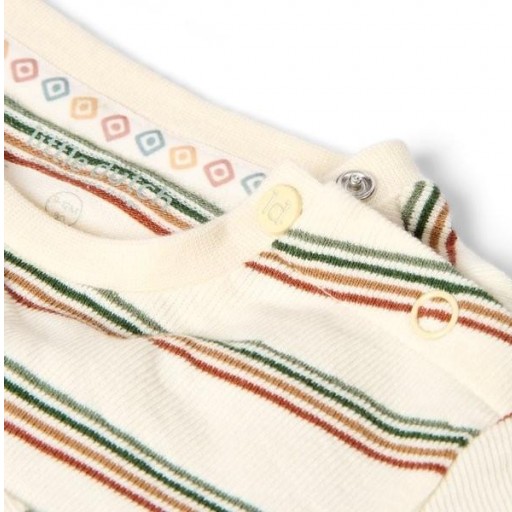 Camiseta Manga Larga de Rayas Safari - Little Dutch [2]