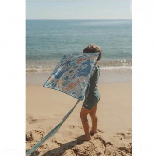 Cometa Little Dutch Ocean World [2]