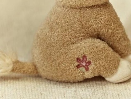 Leona de peluche 17 cm Safari Friends - Little Dutch [3]