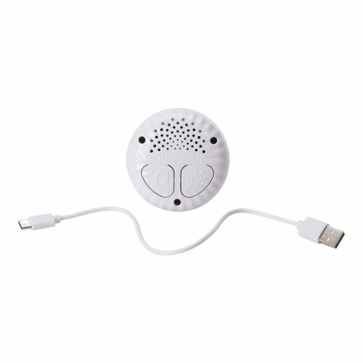 Conejito con Luz y Sonido Newborn Naturals Little Dutch [1]