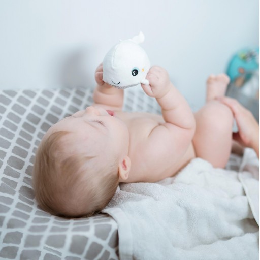 ​Mini Peluche Luminoso Ballena – Pabobo [2]