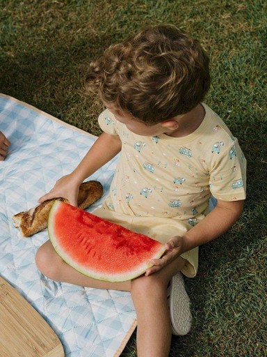 Camiseta Algodón Monnëka Surf Van [2]