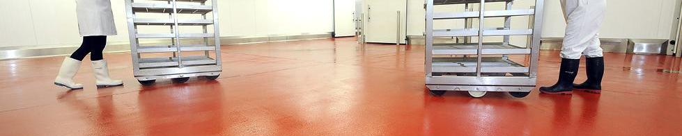 Guía  Zum Sport para plantas que no pueden parar la producción 