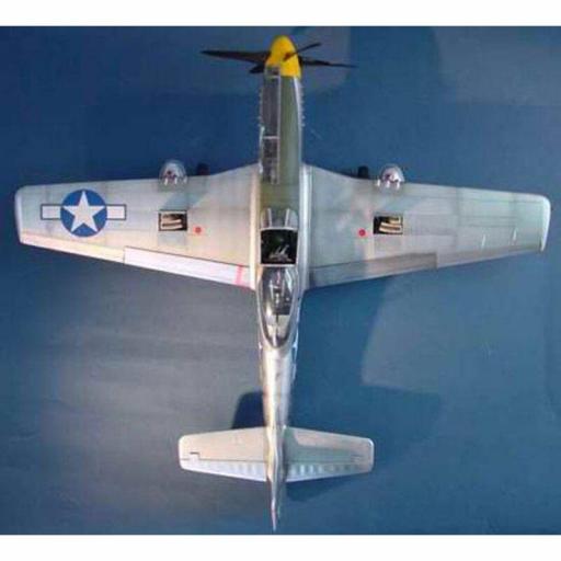 1/24 North American P-51D Mustang IV [2]