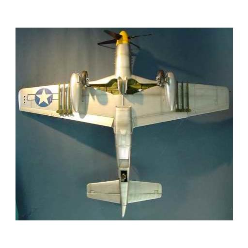 1/24 North American P-51D Mustang IV [3]