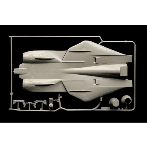 1/48  F-14A Tomcat [4]