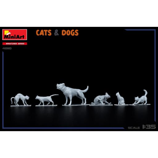 1/35 Perros y Gatos  [1]