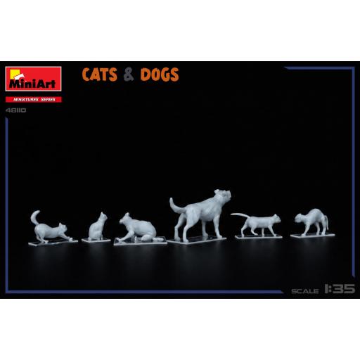 1/35 Perros y Gatos  [2]