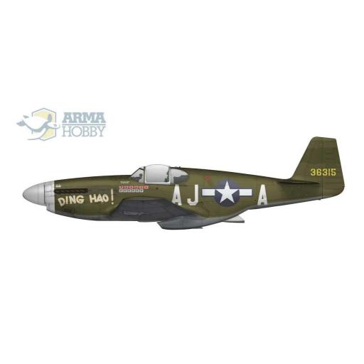 1/72 P-51 B/C Mustang [2]