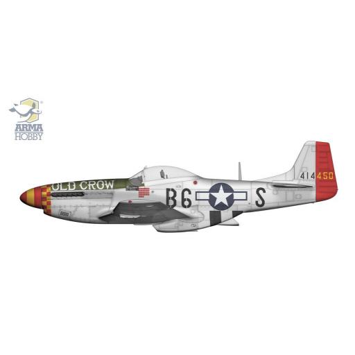 1/72 P-51D Mustang [2]