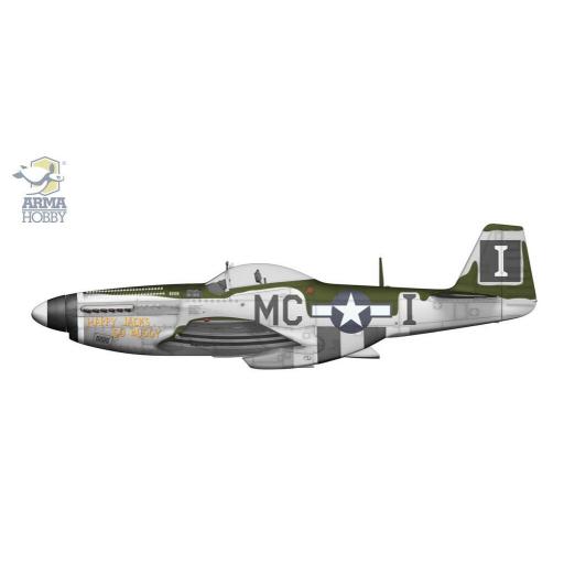1/72 P-51D Mustang [3]