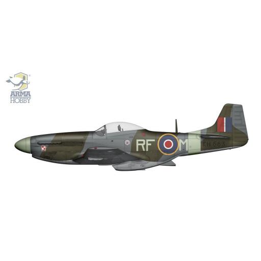 1/72 P-51D Mustang [4]