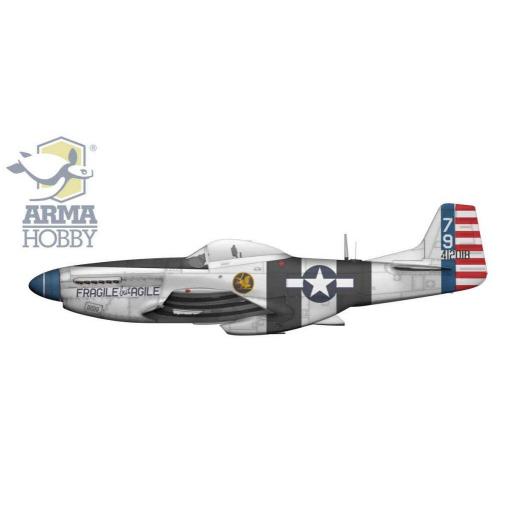 1/72 P-51K Mustang [3]