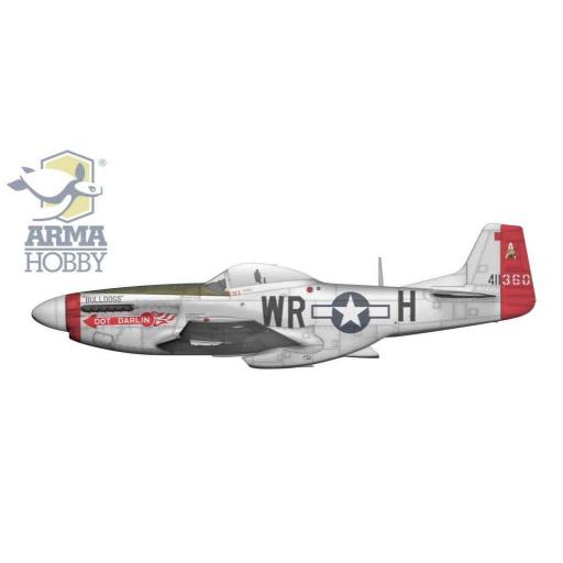 1/72 P-51K Mustang [4]