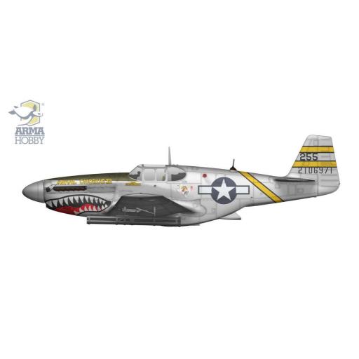 1/72 P-51 B Mustang (China/Burma/India) [3]