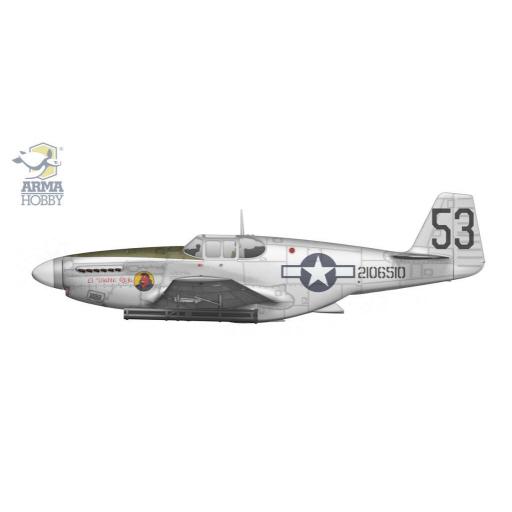 1/72 P-51 B Mustang (China/Burma/India) [4]