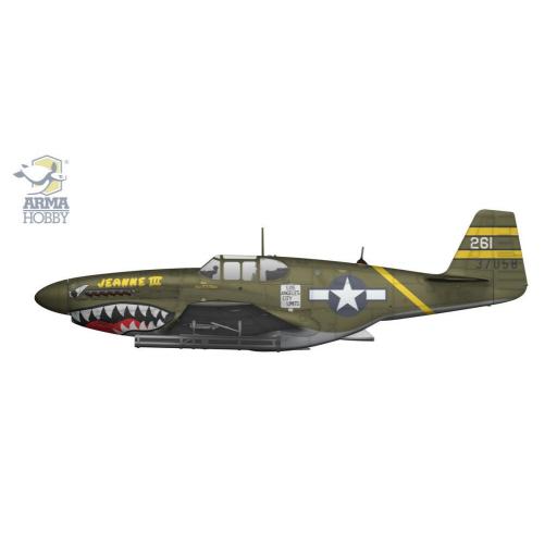 1/72 P-51 B Mustang (China/Burma/India) [5]