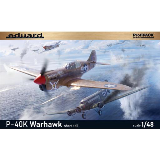 1/48 P-40K Short Tail - Profipack Edition [7]