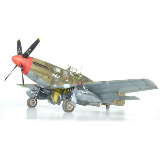 1/32 P-51B Mustang - Serie Royal Hybrid [4]