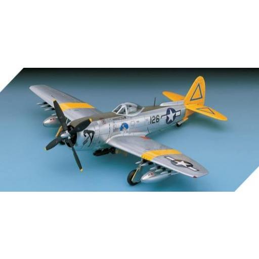 1/48 P-47N Special "Expected Goose" [1]