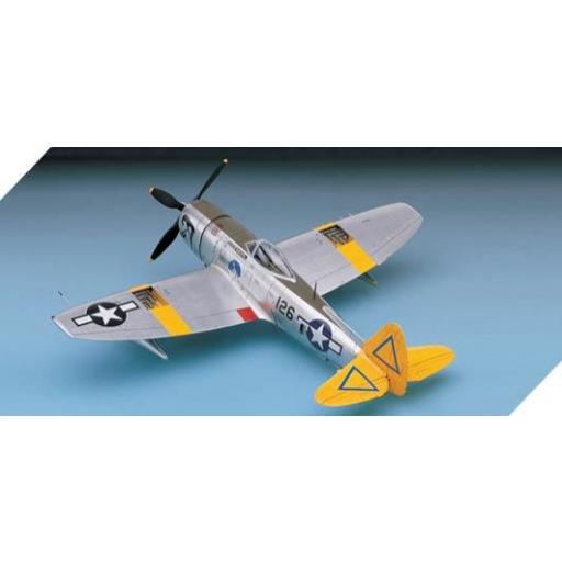 1/48 P-47N Special "Expected Goose" [2]