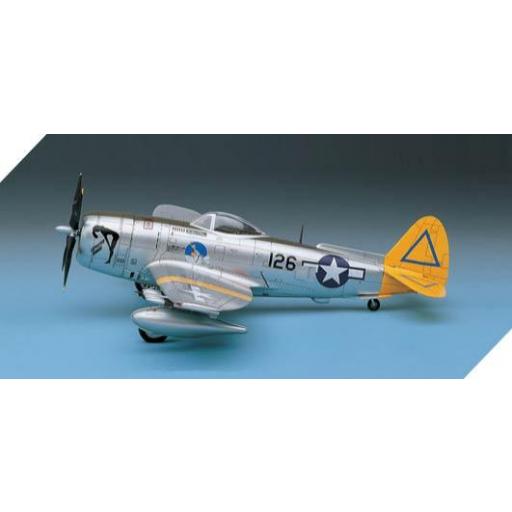 1/48 P-47N Special "Expected Goose" [3]