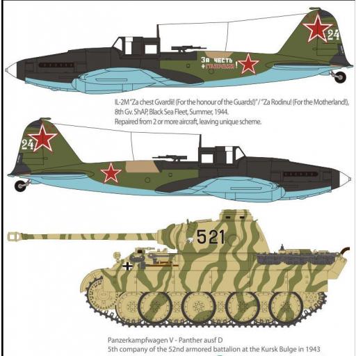 1/72 Ilyushin 2M & Panther D (Edición Especial) [2]