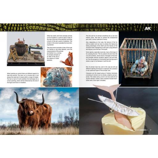 Libro AK Learning 14 Pintura Figuras de Animales [4]