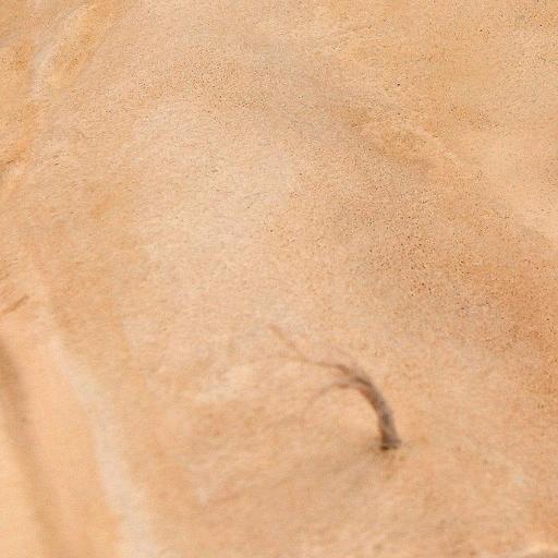 Sandy Desert - Terrenos Desierto de Arena 250 ml. [1]