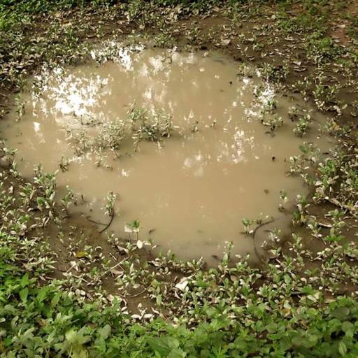 Puddle - Charcos 60 ml. [1]