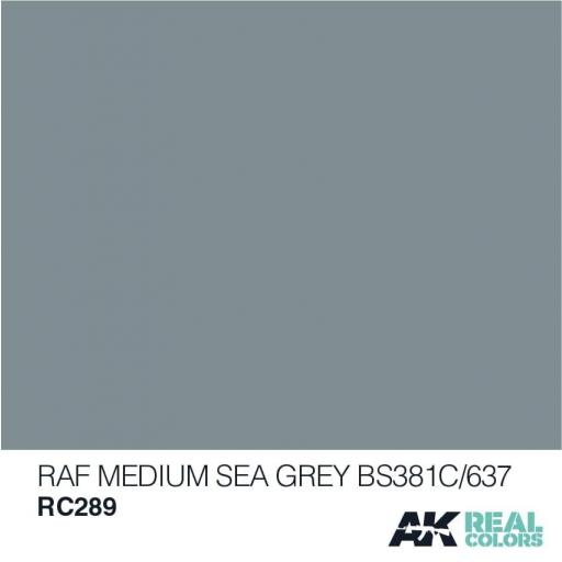 RAF Medium Sea Grey BS381C/637 - 10ml [1]