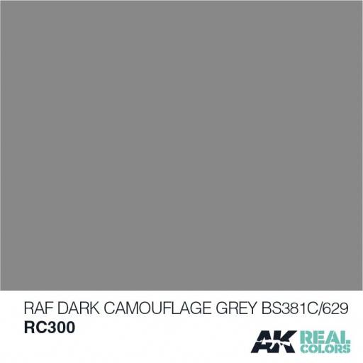 RAF Dark Camouflage Grey BS381C/629 - 10ml [1]