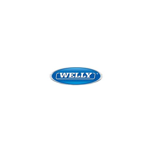 Logo de WELLY