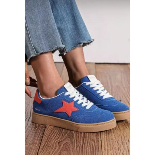 Zapatillas Findlay azul eléctrico 