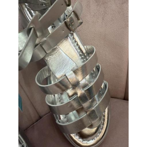 Cangrejera plata  [5]