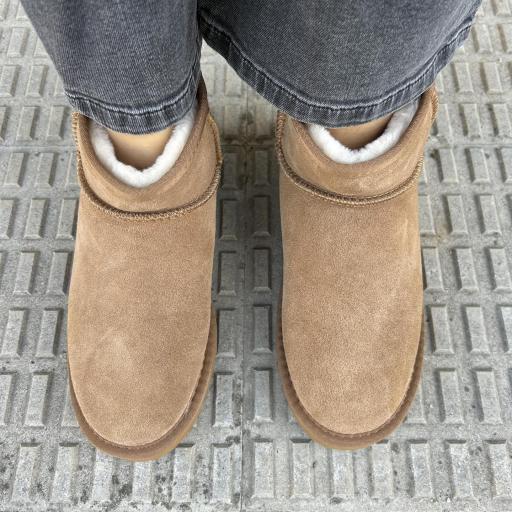 Botín Cíes camel [2]