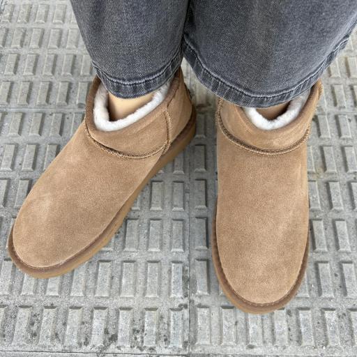 Botín Cíes camel [1]