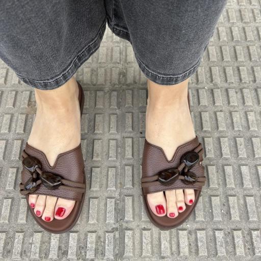 Mule Dina avellana [2]