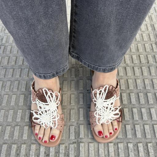 Mule Delova tricolor [2]