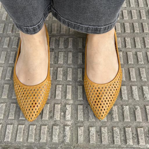 Bailarina Minuit mostaza [2]